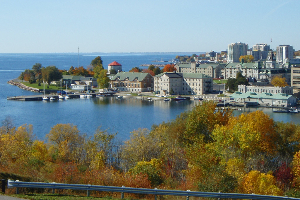 Best Dentists in Kingston