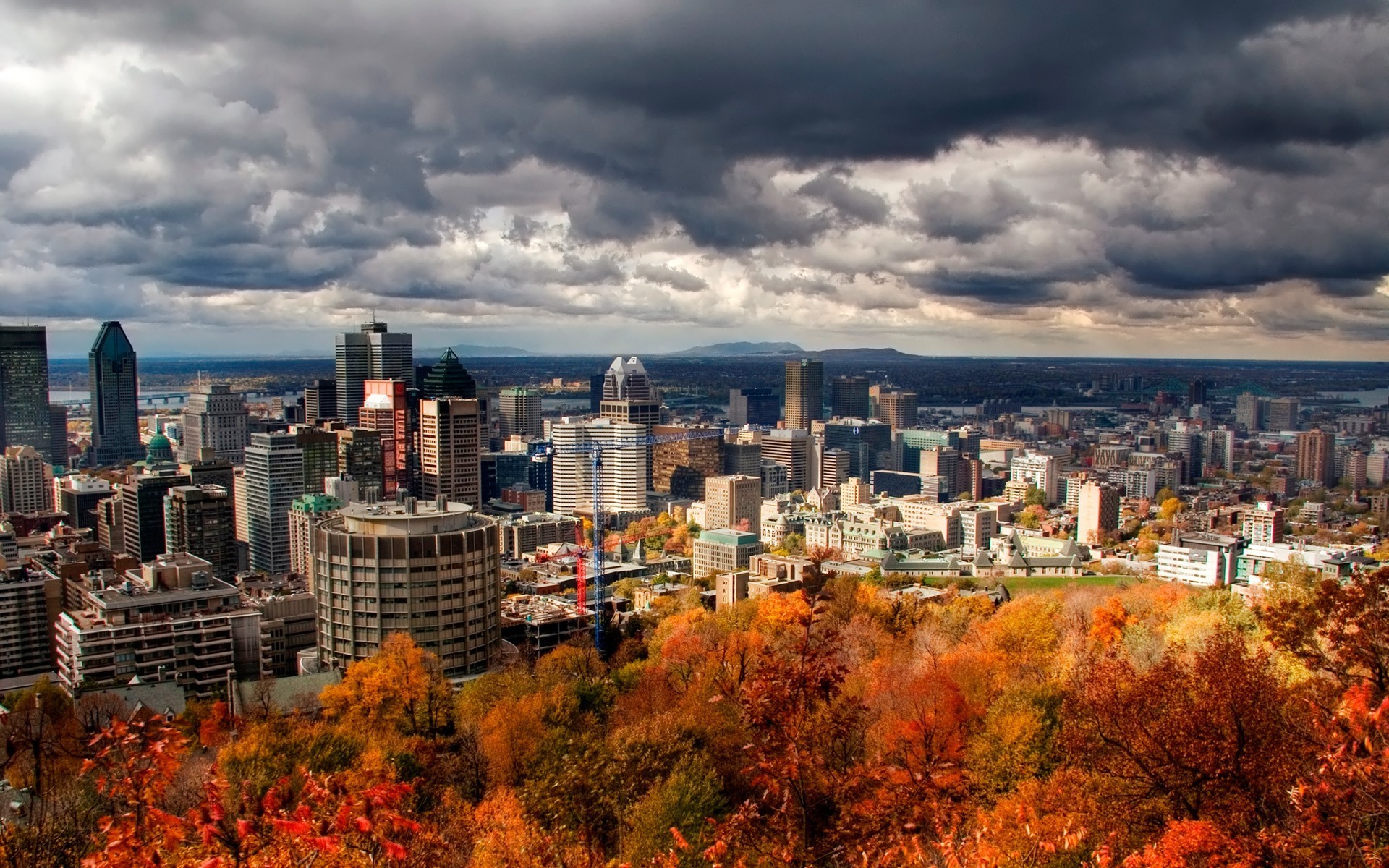 Best Dentists in Montreal