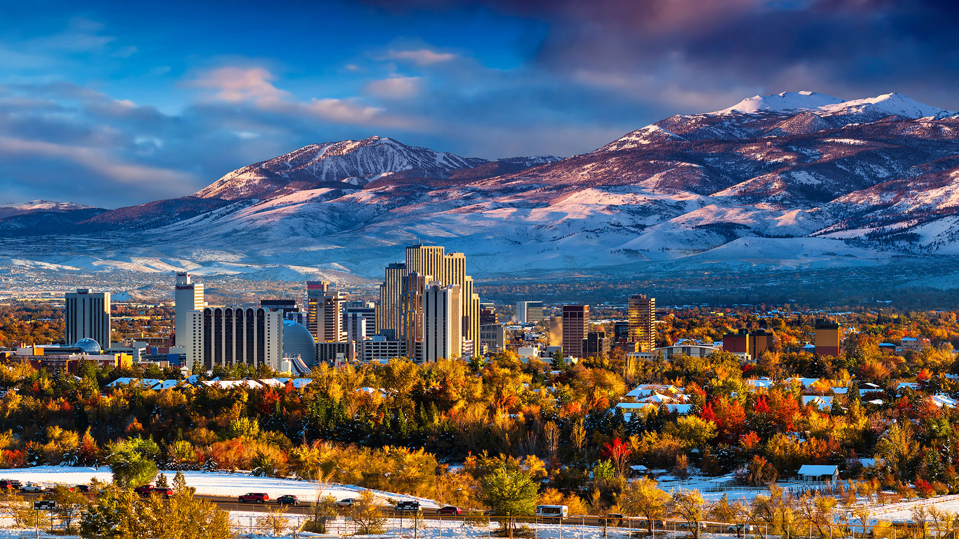 Best Dentists in Reno