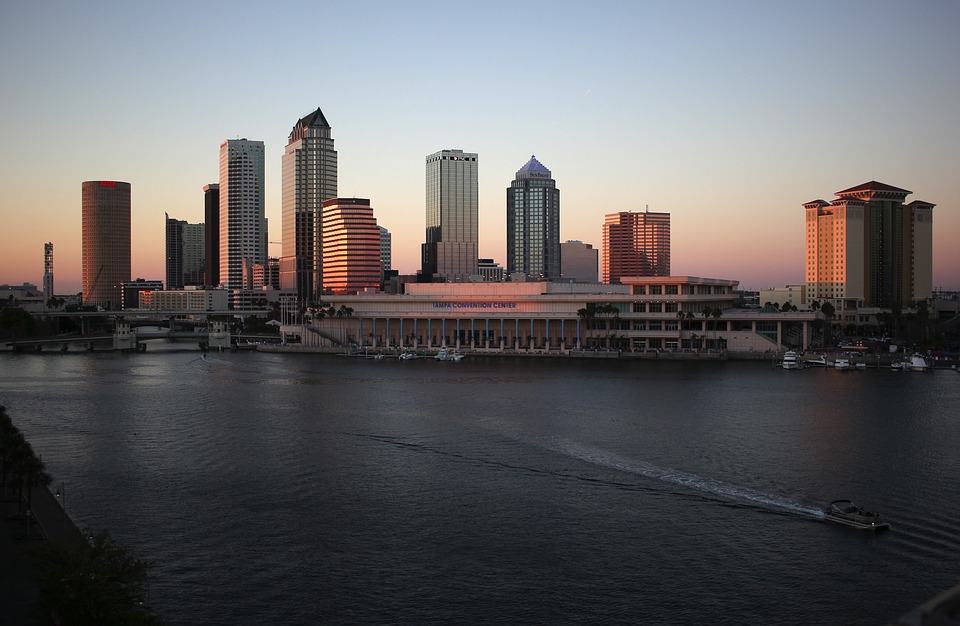 Best Dentists in Tampa