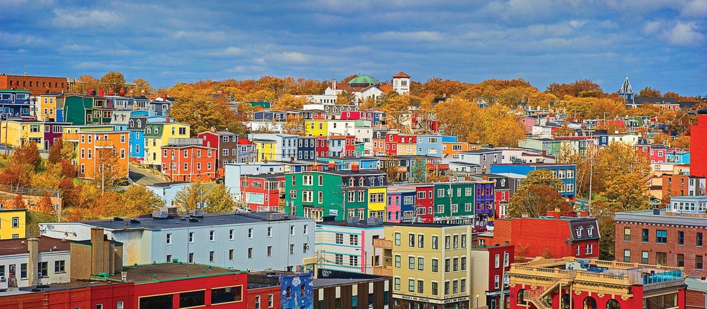 Best Dentists in St. John’s